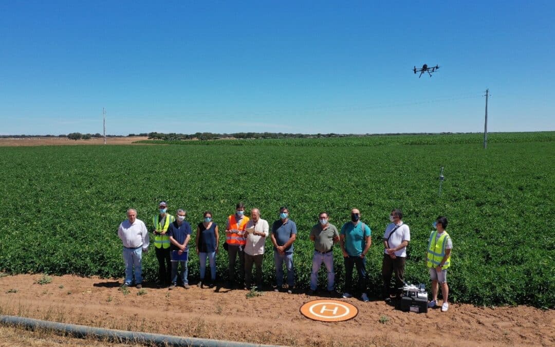 Plataforma de Gestión y planificación de servicios agrícolas