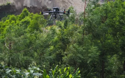 Drones y sostenibilidad ambiental