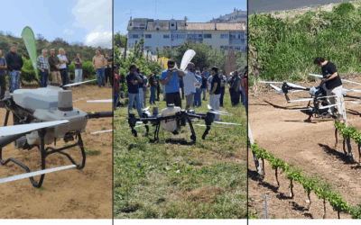 Agricultura de Precisão com Drones: Eficiência e Sustentabilidade no Campo